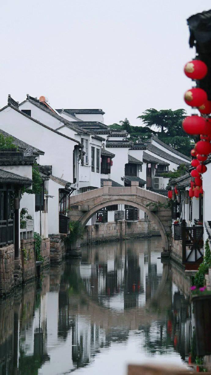 虫虫助手下载