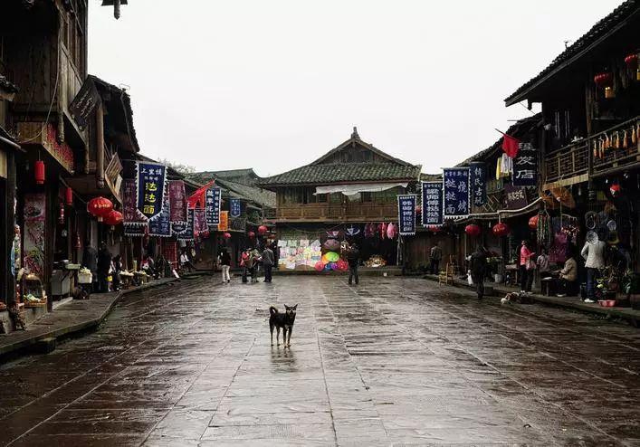 你也敢喷杜兰特？场均8分，搭档东欧三分仅36.4%，他沾了绿军的光